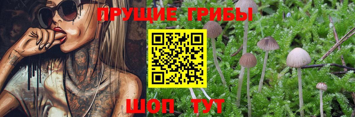 Псилоцибиновые грибы мухоморы  Галлюциногенные грибы мухоморы  дарнет шоп  Вход с VPN  Феодосия 